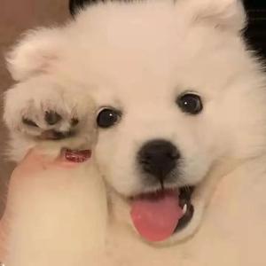 18禁裸体爆乳❌网站动漫
